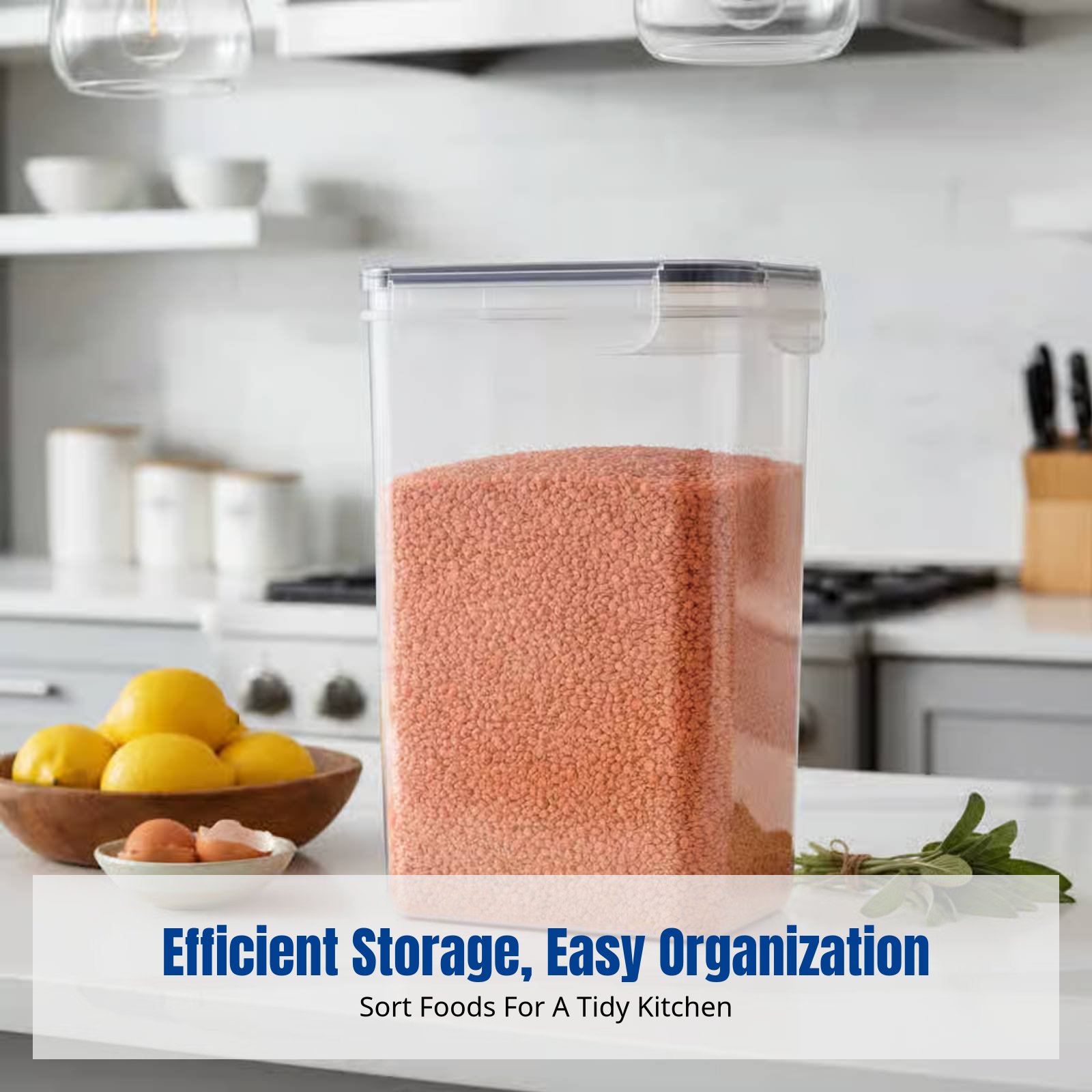 Food Storage Organization - Airtight Food Storage Container Set, Large
