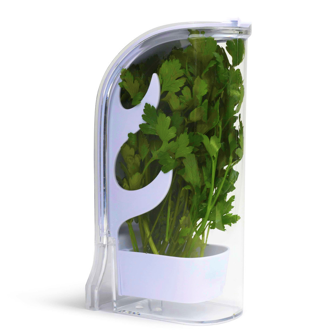 Herb Crisper Saver Container R – обзор и цена Herb Keeper Container