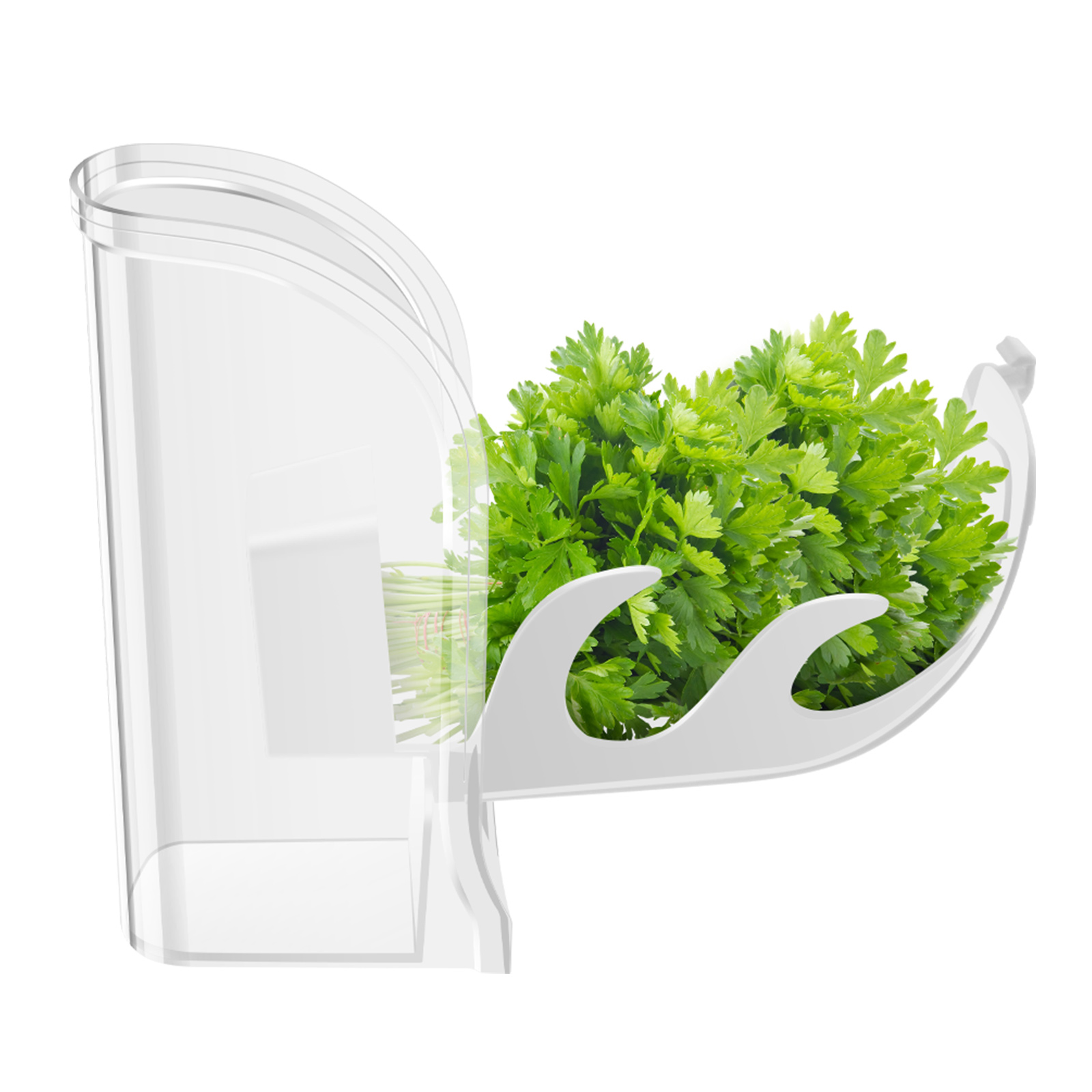 Herb Crisper Saver Container R – обзор и цена Herb Keeper Container