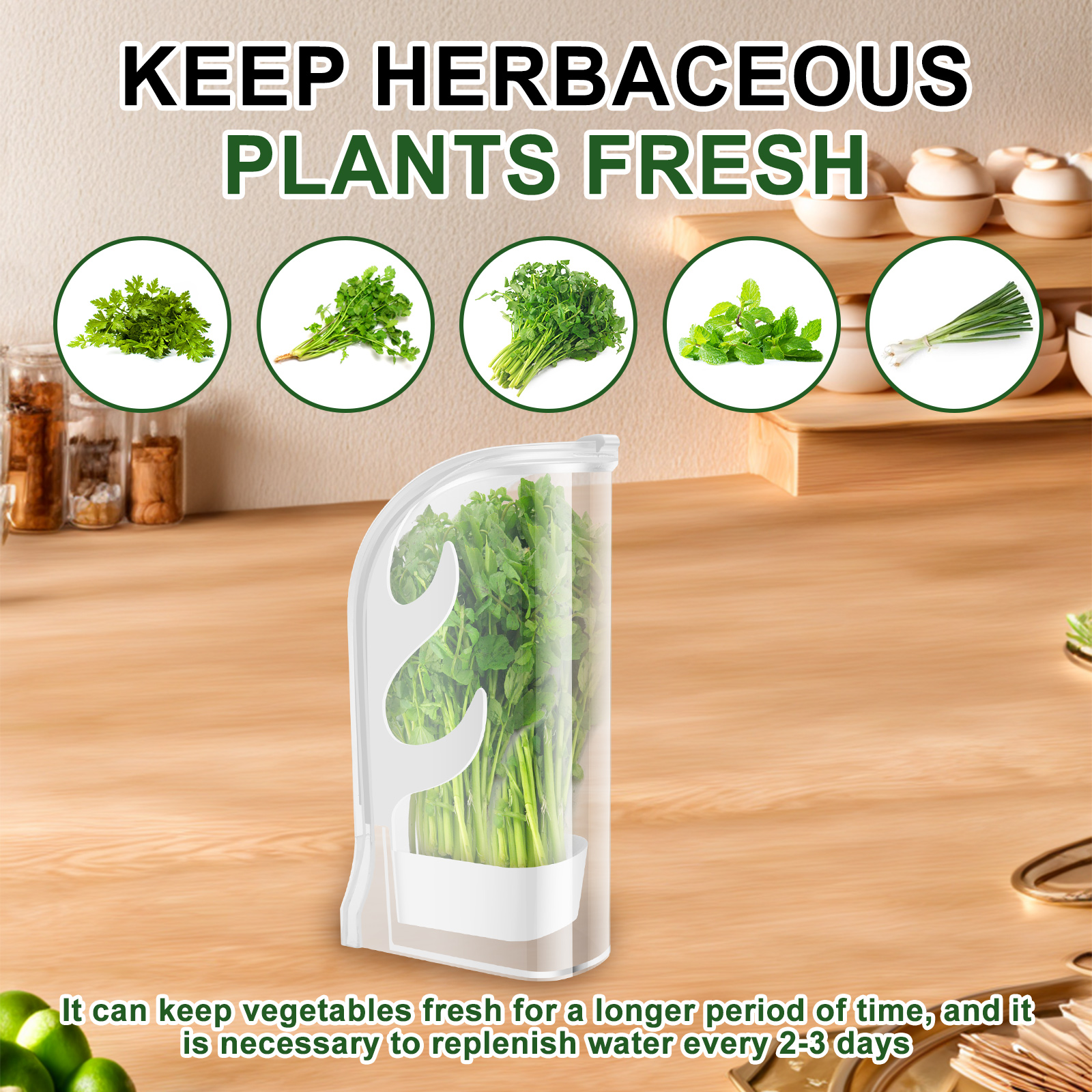 Herb Crisper Saver Container R – обзор и цена Herb Keeper Container