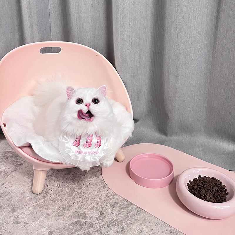 Cute  Bowl PU Leather Mat  Cag – обзор и цена Food Storage Recommendations