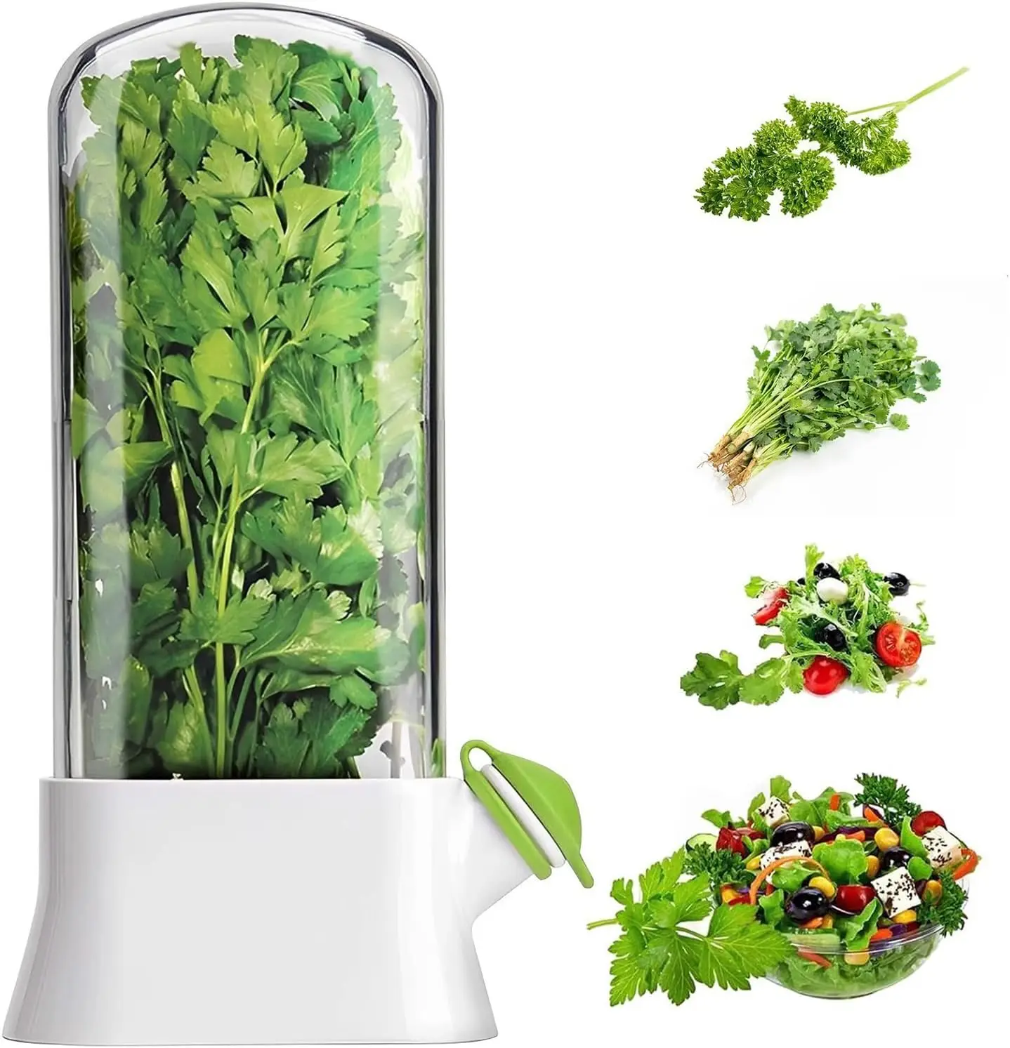Herb Keeper for Refrigerator K – обзор и цена Herb Keeper Container